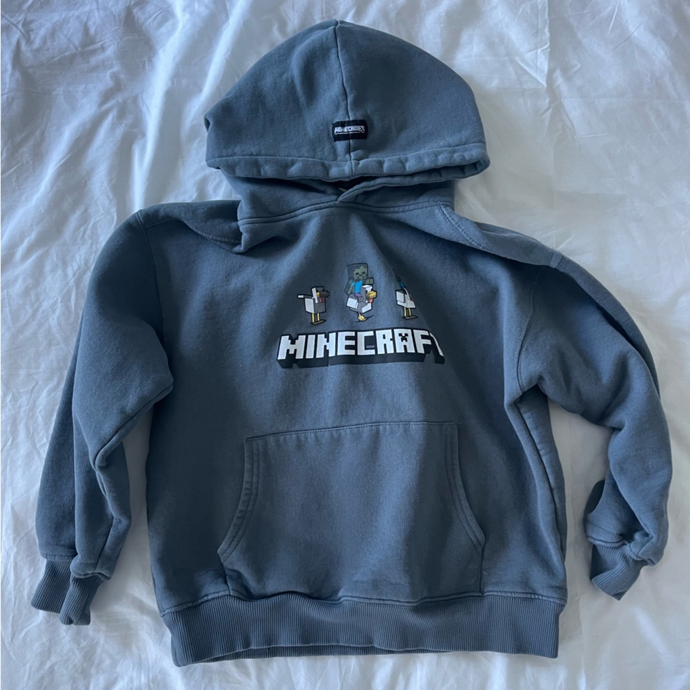 Zara Minecraft Blue Gray Hoodie